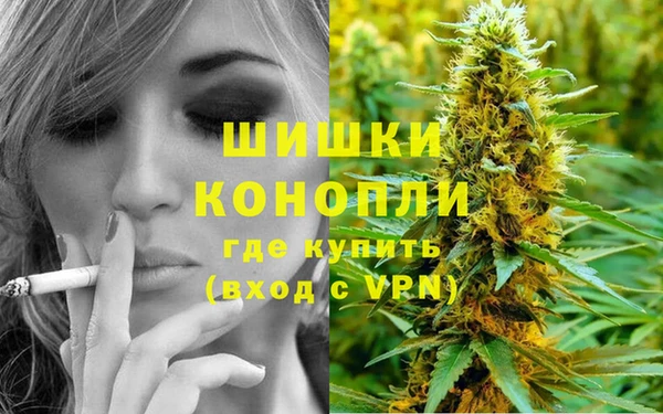трава Михайловск
