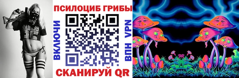 дарнет шоп  Николаевск-на-Амуре  Псилоцибиновые грибы MAGIC MUSHROOMS 